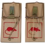 Tapette � souris - tmt - lot de 2