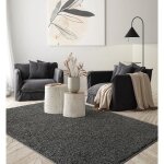 Tapis à poils longs - the carpet - port shaggy - lavable - antidérapant - anthracite - 120x170 cm Tapis à poils longs - the carpet - port shaggy - lavable - antidérapant - anthracite - 120x170 cm