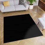 Tapiso tapis carré salon chambre mono noir design uni résistant intérieur extérieur 120x120 cm Tapiso tapis carré salon chambre mono noir design uni résistant intérieur extérieur 120x120 cm