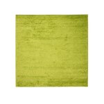 Tapiso tapis salon carr� shaggy poils longs delhi vert unicolore polypropyl�ne int�rieur 120x120 cm