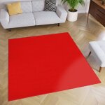 Tapiso tapis de salon chambre carr� mono rouge design uni r�sistant int�rieur ext�rieur 120x120 cm