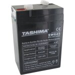 Tashima batterie - 6v - 45a