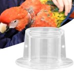 Tbest collier de cou de perroquet pet parrot anti - morsure picking plume wound cicatrisant collier de ...