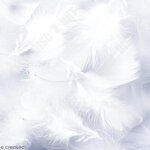 Td® lot de 100 pièces de plumes de marabout - blanches - longueur environ 12 cm - décoration chic et ... Td® lot de 100 pièces de plumes de marabout - blanches - longueur environ 12 cm - décoration chic et ...