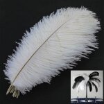 Plumes dautruche - td® - 20 pièces - naturelles - 25 - 30 cm - blanches Plumes dautruche - td® - 20 pièces - naturelles - 25 - 30 cm - blanches