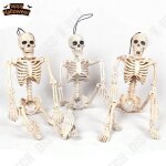 Td® lot de 3 squelette halloween plastique - décoration suspendu effrayant - fête à thème - déco halloween ... Td® lot de 3 squelette halloween plastique - décoration suspendu effrayant - fête à thème - déco halloween ...