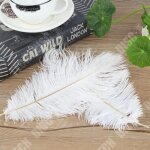 Plumes dautruche - td� - 50 pi�ces - 30 - 35 cm - accessoires de mariage - d�coration artisanale