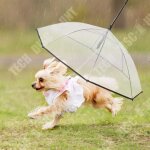 Td parapluie pour chien de compagnie avec laisse - parapluie pliant transparent pour chiot de vue facile ...