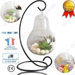 Vase dcoratif - tech discount - verre transparent - 10x16 cm - design moderne - noir