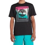Tee - shirt - timberland - outdoor graphic t - noir - homme - col rond - manches courtes - 100% coton ...