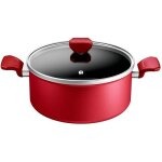 Tefal faitout 24 cm induction revêtement antiadhésif couvercle verre ergonomique fabriqué en france daily ... Tefal faitout 24 cm induction revêtement antiadhésif couvercle verre ergonomique fabriqué en france daily ...