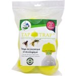 Terra nostra - pi�ge tap trap - 161605 - gu�pes frelons & mouches - sachet x5 unit�s