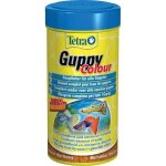 Aliment pour poissons - tetra - guppy colour - flocons - 250ml - poisson deau froide et exotique Aliment pour poissons - tetra - guppy colour - flocons - 250ml - poisson deau froide et exotique