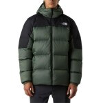 The north face veste pour homme diablo 2. 0 vert nf0a8992eih