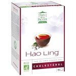 Ths de la pagode th hao ling x90