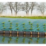 Toile de paillage paysages verte 1 x 25 m - trait anti uv 100 g / m - bche de sol anti mauvaises herbes ...