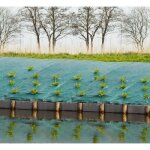 Toile de paillage paysages verte 2 x 5 m trait anti uv 100 g / m - bche de sol anti mauvaises herbes ...