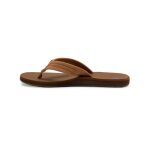 Tongs pour homme - quiksilver - cuir - beige - csj1 - marron