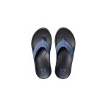 Tongs - reef - cushion phantom 2. 0 - homme - bleu - cj4345 - 2329