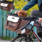 Transporteur animaux de compagnie v�lopanier guidon de v�lo transporteur avant pour petits chien chat ...
