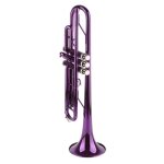 Trompette - vvikizy - bb - laiton - couleur violet - ensemble complet