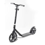 Trottinette - frenzy - fr250 - roues 250mm - poids max 120kg - freinage au pied