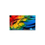 Tv led professionnel philips hospitality mediasuite 50hfl5214u - 127 cm 4k uhd smart tv noir Tv led professionnel philips hospitality mediasuite 50hfl5214u - 127 cm 4k uhd smart tv noir