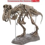 Mod�le jouet - rokoo - tyrannosaurus rex - squelette r�aliste - d�coratif - non toxique