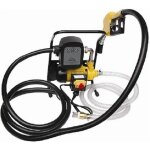 Varan motors - nedlp - 19 pompe  fuel - gasoil pompe de transfert diesel 230v 40l - min avec clapet ...