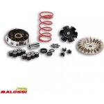 Variateur malossi pour scooter mbk 50 nitro 5113161 / multivar mhr