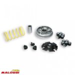 Variateur malossi pour scooter yamaha 125 majesty apr�s 1998 5113134 / multivar 2000