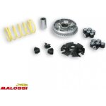 Variateur malossi pour scooter yamaha 125 xmax apr�s 2006 5113134 / multivar 2000