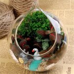 Vase en verre fleur verre planteur vase terrarium maison jardin suspendu balle d�coration (12cm)