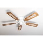 Ventilateur de plafond - pepeo - kisa deluxe - blanc - 105 cm - ailes r�versibles