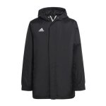 Vestes adidas entrada 22 stadium noir ib6078