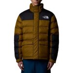 Veste pour homme - the north face - limbara - couleur verte - adulte - nf0a89eg1ob Veste pour homme - the north face - limbara - couleur verte - adulte - nf0a89eg1ob