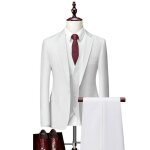 (veste + pantalon + gilet + chemises) costume homme - mariage business - fit grande vtements masculin ...