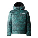 Veste r�versible the north face pour gar�on - vert - imprim� int�gral - raglan manche