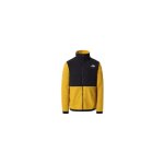 Veste the north face denali 2 - jaune - homme - multisport - manches longues