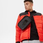Veste the north face pardee