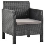 Vidaxl chaise de jardin avec coussin pp anthracite