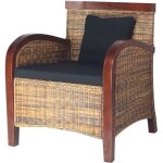 Vidaxl fauteuil résine tressée à la main salon chambre à coucher intérieur 242025 Vidaxl fauteuil résine tressée à la main salon chambre à coucher intérieur 242025