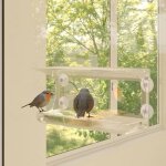 Vidaxl mangeoires  oiseaux de fentre 2 pcs acrylique 30x12x15 cm 318304