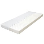 Vidaxl matelas 90 x 200 cm 7 zones mousse pu 10 cm h2 h3 Vidaxl matelas 90 x 200 cm 7 zones mousse pu 10 cm h2 h3