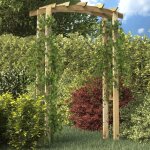 Vidaxl arche de jardin en bois de pin massif 150x60x210 cm rsistante  la pourriture support pour plantes ...