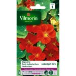 Vilmorin capucine de lobb spit fire rouge