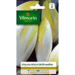 Graines - vilmorin - chicor�e witloof platine (type bruxelles) - graines dexception