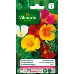 Vilmorin eschscholtzia de californie varié Vilmorin eschscholtzia de californie varié