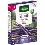 Vilmorin graines de haricot velour gousse violette - 20 m