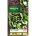 Vilmorin graines de laitue grasse sucrette